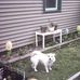 Larry Brasier - Facebook