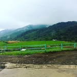 Larry Bricker - @ermertpeggicq - Instagram