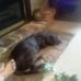 Larry Brindley - Facebook