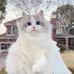 Larry Broughton - Facebook