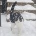 Larry Brugh - Facebook