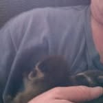 Larry Bruner - @lltbruner - Instagram