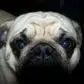 Larry Jake Buckner - @larry.jake.buckne - TikTok