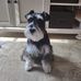 Larry Buell - Facebook