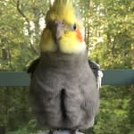 Larry Burb - @larryburb781 - Instagram