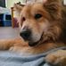 Larry Burnham - Facebook