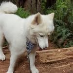 Larry Burnham - @burnhamlarry - Instagram