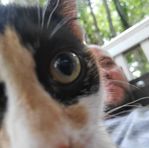 Larry VanBuskirk - Facebook