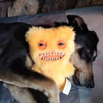 Larry Button - @the_adventures_of_larry_button - Instagram