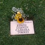 Armando Larry Cabrera Torres - @armandolarrycabreratorres - Instagram