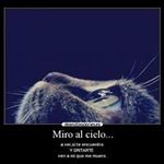 Larry Emanuel - @larrycabrera_18 - Instagram