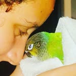 Larry - @larry_canary5 - Instagram