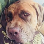 Larry Cann - Facebook
