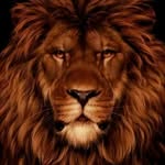 Larry Caputo - @larrycaputo - Instagram