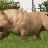 Larry Cargill - @larry.cargill - TikTok