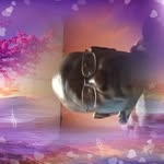 Larry Carlos - @larry.carlos.7946 - Instagram