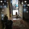 larrycarnell - @larrycarnell - TikTok