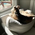 Carol Tyler - @carol_loves_larry - Instagram