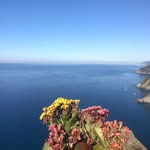 Larry Caruthers - @carutherslarry - Instagram