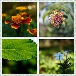 @larrychew2396 - Instagram