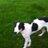larryclancy899 - @larryclancy899 - TikTok