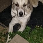 Larry Cobo - Facebook