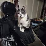 Larry Coffield - @coffieldlarry - Instagram