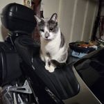 Larry Coffield - @coffieldlarry - Instagram