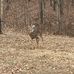 Larry Colley - Facebook