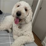 Larry coney - @larry_coney - Instagram