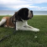 Larry Constantino - @larryc1849 - Instagram
