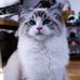 Larry Cooley - Facebook