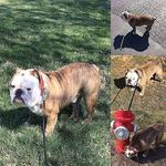 Larry - @larry_cooley_g - Instagram