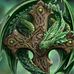 Larry Coon - Facebook