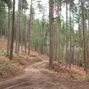 larrycoon4 - @larrycoon4 - TikTok