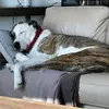 Corey Larry - @corey.larry887 - TikTok