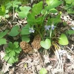 Larry Corso - @reatafan_ - Instagram