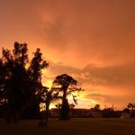 Larry Craddock - @larrygavinta - Instagram