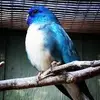 Larry Cronin - @larry.cronin - TikTok