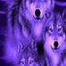 Lorrie Cutshall - Facebook