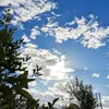 "عنود✨" - @larry.cuttsthe.beautiful - TikTok