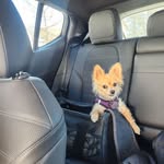 Larry Dancer Jr. - @larrzzguitar - Instagram