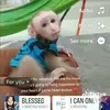 Larry Daughtry - @larry.daughtry7 - TikTok