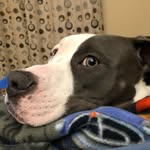 Larry Davison - @larry.davison.7 - Instagram