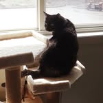Larry Deck - @larrydeck67 - Instagram