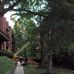 Larry Lipinski Painting / Deck &amp; Cedar Restoration - Facebook