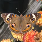 Larry W. Deckard - @larry.deckard.9 - Instagram