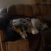 Larry Deems - Facebook
