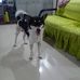Larry DE Erio - Facebook