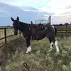 Larry Dell - @larry.dell - TikTok